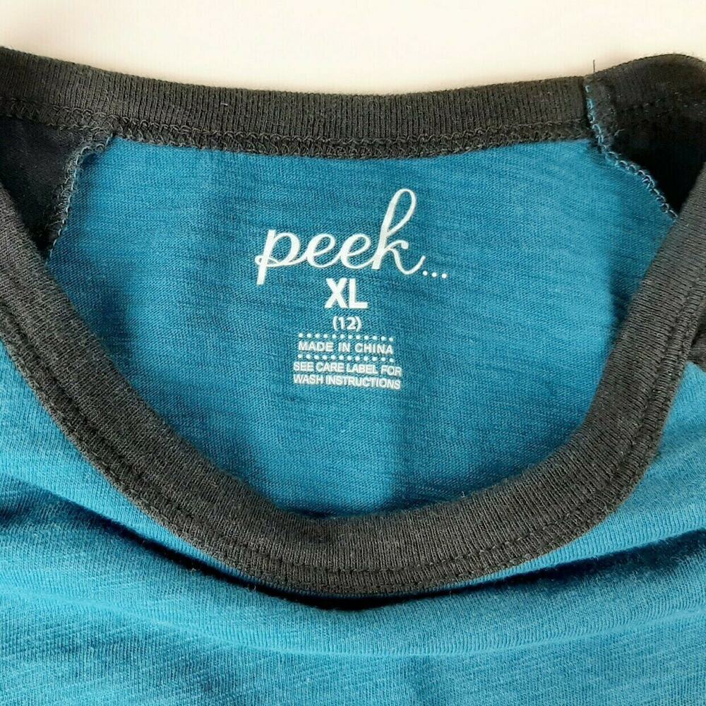 Peek Mr Positive Raglan Tee - Picture 4 of 5